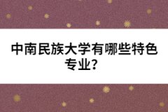 中南民族大學(xué)有哪些特色專業(yè)？