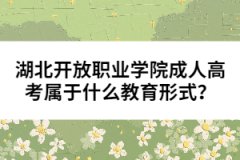 湖北開放職業(yè)學(xué)院成人高考屬于什么教育形式？