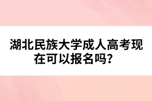 湖北民族大學(xué)成人高考現(xiàn)在可以報(bào)名嗎？