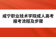 咸寧職業(yè)技術(shù)學(xué)院成人高考報考流程及步驟
