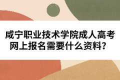 咸寧職業(yè)技術(shù)學(xué)院成人高考網(wǎng)上報名需要什么資料？