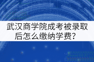 武漢商學院成考被錄取后怎么繳納學費？