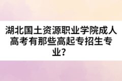 湖北國土資源職業(yè)學(xué)院成人高考有那些高起專招生專業(yè)？