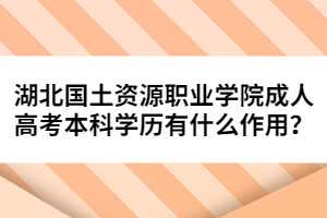 湖北國土資源職業(yè)學院成人高考本科學歷有什么作用？