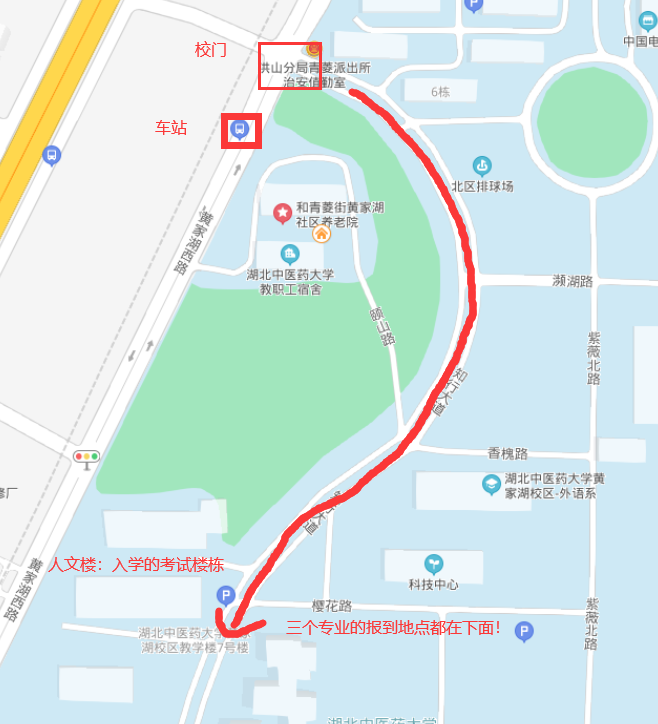 2021年湖北中醫(yī)藥大學(xué)普通專升本新生報到指南