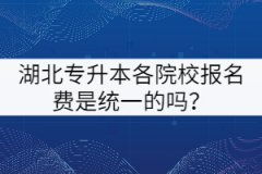 湖北專(zhuān)升本各院校報(bào)名費(fèi)是統(tǒng)一的嗎？