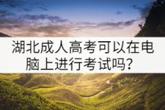 湖北成人高考可以在電腦上進(jìn)行考試嗎？