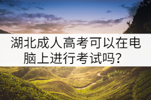 湖北成人高考可以在電腦上進(jìn)行考試嗎？