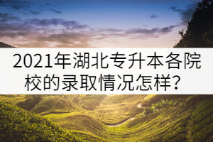 2021年湖北普通專升本各院校的錄取情況怎樣？