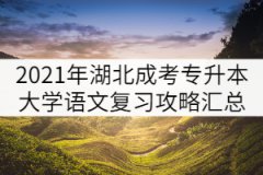 2021年湖北成人高考專升本大學(xué)語文復(fù)習(xí)攻略匯總