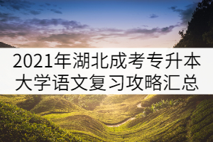 2021年湖北成人高考專(zhuān)升本大學(xué)語(yǔ)文復(fù)習(xí)攻略匯總