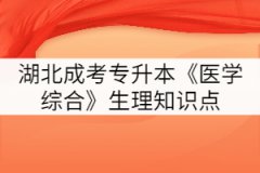 2021年湖北成考專升本《醫(yī)學(xué)綜合》生理知識點(diǎn)四