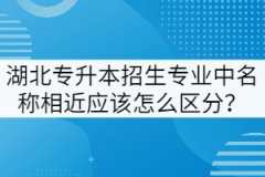 湖北專升本招生專業(yè)中名稱相近應(yīng)該怎么區(qū)分？