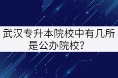 武漢專升本院校中有幾所是公辦院校？