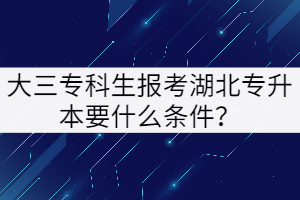 大三?？粕鷪?bào)考湖北專升本要什么條件？