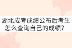湖北成考成績公布后考生怎么查詢自己的成績？