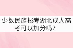 少數(shù)民族報考湖北成人高考可以加分嗎？