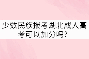 少數(shù)民族報(bào)考湖北成人高考可以加分嗎？