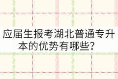 應(yīng)屆生報(bào)考湖北普通專升本的優(yōu)勢(shì)有哪些？