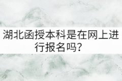 湖北成考函授本科是在網(wǎng)上進(jìn)行報名嗎？