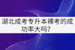 湖北成考專升本裸考的成功率大嗎？