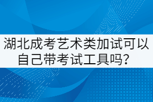 湖北成考藝術類加試可以自己帶考試工具嗎？