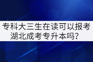?？拼笕谧x可以報考湖北成考專升本嗎？