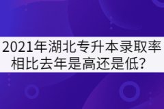 2021年湖北專升本錄取率相比去年是高還是低？