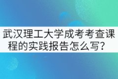 武漢理工大學(xué)成考考查課程的實(shí)踐報(bào)告怎么寫？