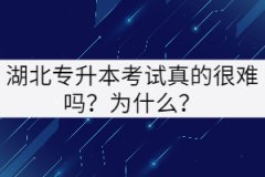 湖北專升本考試真的很難嗎？為什么？