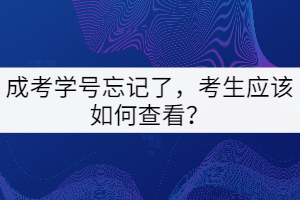 成考學(xué)號(hào)忘記了，考生應(yīng)該如何查看？