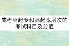 成考高起專和高起本層次的考試科目以及分值是怎樣的？