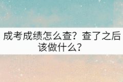 成考成績怎么查？查了之后該做什么？