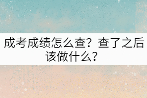 成考成績怎么查？查了之后該做什么？