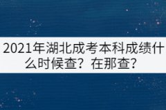 2021年湖北成考本科成績什么時候查？在那查？