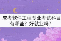 成考軟件工程專業(yè)考試科目有哪些？好就業(yè)嗎？