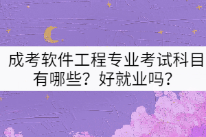 成考軟件工程專業(yè)考試科目有哪些？好就業(yè)嗎？