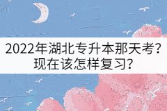2022年湖北專升本那天考？現(xiàn)在該怎樣復(fù)習(xí)？