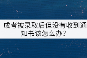 成考被錄取后但沒有收到通知書該怎么辦？