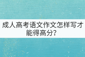 成人高考語文作文怎樣寫才能得高分？