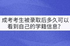 成考考生被錄取后多久可以看到自己的學(xué)籍信息？