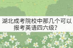 湖北成考院校中那幾個可以報考英語四六級？