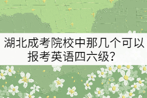 湖北成考院校中那幾個可以報考英語四六級？