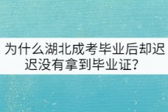 為什么湖北成考畢業(yè)后卻遲遲沒(méi)有拿到畢業(yè)證？
