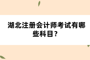 湖北注冊會計師考試有哪些科目？