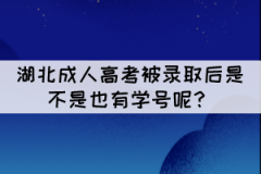 湖北成人高考被錄取后是不是也有學號呢？