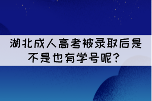 湖北成人高考被錄取后是不是也有學(xué)號呢？