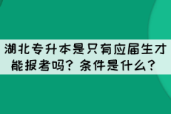 湖北專升本是只有應(yīng)屆生才能報(bào)考嗎？條件是什么？