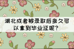 湖北成考被錄取后多久可以拿到畢業(yè)證呢？