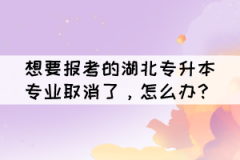 想要報(bào)考的湖北專升本專業(yè)取消了，怎么辦？